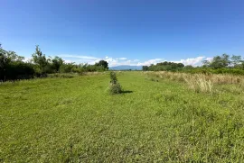 Land For Sale, Agricultural, Gumbra