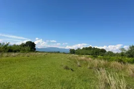 Land For Sale, Agricultural, Gumbra