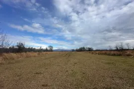 იყიდება მიწის ნაკვეთი, სასოფლო - სამეურნეო, გუმბრა