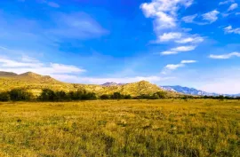 Land For Sale, Agricultural, Akhali Nichbisi