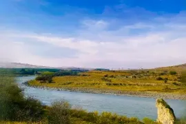 Land For Sale, Agricultural, Akhali Nichbisi