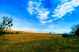 Land For Sale, Agricultural, Akhali Nichbisi