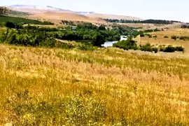 Land For Sale, Agricultural, Akhali Nichbisi