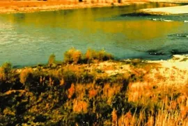 Land For Sale, Agricultural, Akhali Nichbisi