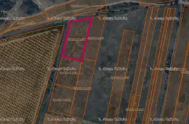 Land For Sale, Agricultural, Akhali Nichbisi