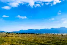 Land For Sale, Agricultural, Akhali Nichbisi