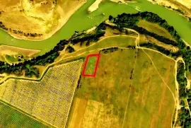 Land For Sale, Agricultural, Akhali Nichbisi