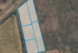 Land For Sale, Agricultural, Akhali Nichbisi