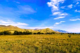 Land For Sale, Agricultural, Akhali Nichbisi