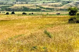 Land For Sale, Agricultural, Akhali Nichbisi