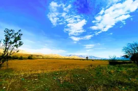 Land For Sale, Agricultural, Akhali Nichbisi