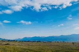 Land For Sale, Agricultural, Akhali Nichbisi