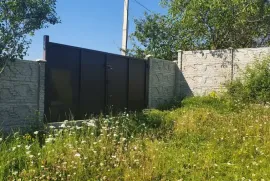 იყიდება მიწის ნაკვეთი, სასოფლო - სამეურნეო, მანგლისი