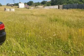 იყიდება მიწის ნაკვეთი, სასოფლო - სამეურნეო, მანგლისი