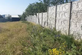 იყიდება მიწის ნაკვეთი, სასოფლო - სამეურნეო, მანგლისი