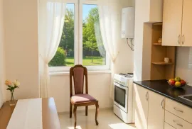 Аренда, 1 Kомнатная, Старое здание, Тбилиси, Ортачала