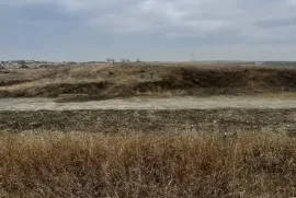 Продается Земля, Сельскохозяйственные, Вазиани 