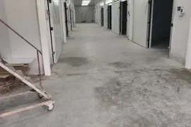 For Sale , Special, Berbuki