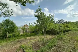 იყიდება მიწის ნაკვეთი, სასოფლო - სამეურნეო, წყლულეთი