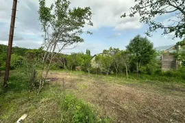 იყიდება მიწის ნაკვეთი, სასოფლო - სამეურნეო, წყლულეთი