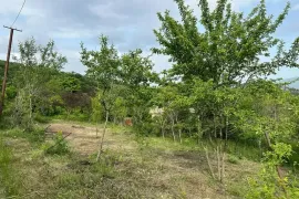 იყიდება მიწის ნაკვეთი, სასოფლო - სამეურნეო, წყლულეთი