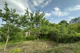 იყიდება მიწის ნაკვეთი, სასოფლო - სამეურნეო, წყლულეთი