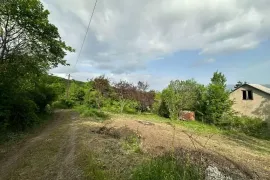 იყიდება მიწის ნაკვეთი, სასოფლო - სამეურნეო, წყლულეთი