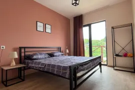 For Rent, Hotel, Kashveti