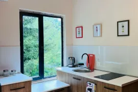 For Rent, Hotel, Kashveti