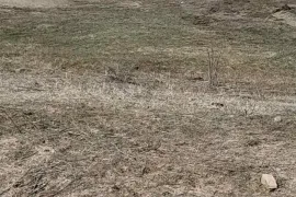 იყიდება მიწის ნაკვეთი, სასოფლო - სამეურნეო, ორბეთი 