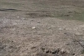 იყიდება მიწის ნაკვეთი, სასოფლო - სამეურნეო, ორბეთი 