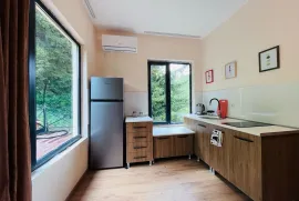 For Sale , Hotel, Kvishxeti