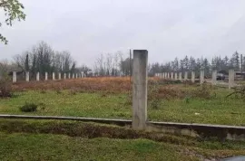 იყიდება მიწის ნაკვეთი, სასოფლო - სამეურნეო, თერნალი