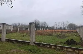 იყიდება მიწის ნაკვეთი, სასოფლო - სამეურნეო, თერნალი