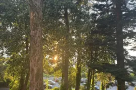 For Rent, 1 Room, New building, Batumi