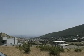 Land For Sale, Non Agricultural, Tsodoreti