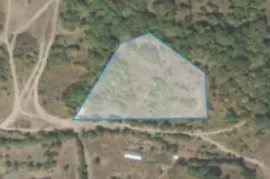 Land For Sale, Agricultural, Omaraani