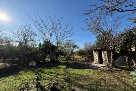 იყიდება მიწის ნაკვეთი, სასოფლო - სამეურნეო, აეროპორტის უბანი