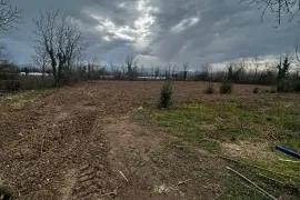 იყიდება მიწის ნაკვეთი, სასოფლო - სამეურნეო, ფარცხანაყანევი