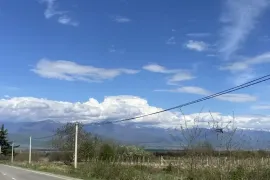 Продается Земля, Не Сельскохозяйственный, Telavi