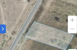 Продается Земля, Не Сельскохозяйственный, Telavi