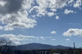 Продается Земля, Не Сельскохозяйственный, Telavi