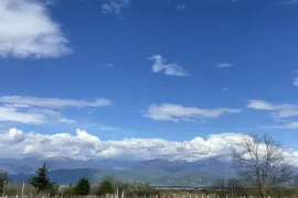 Продается Земля, Не Сельскохозяйственный, Telavi