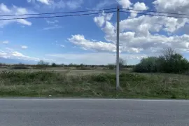 Продается Земля, Не Сельскохозяйственный, Telavi