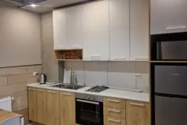 ქირავდება ბინა, 2 ოთახიანი, ახალი აშენებული, თბილისი, ორთაჭალა