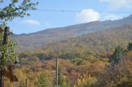 Продается Земля, Ахалдаба