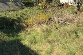 Продается Земля, Ивертубани