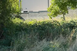 Продается Земля, Ивертубани