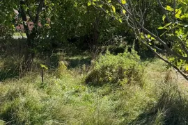 Продается Земля, Ивертубани