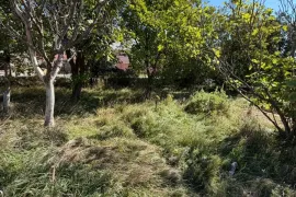 Продается Земля, Ивертубани